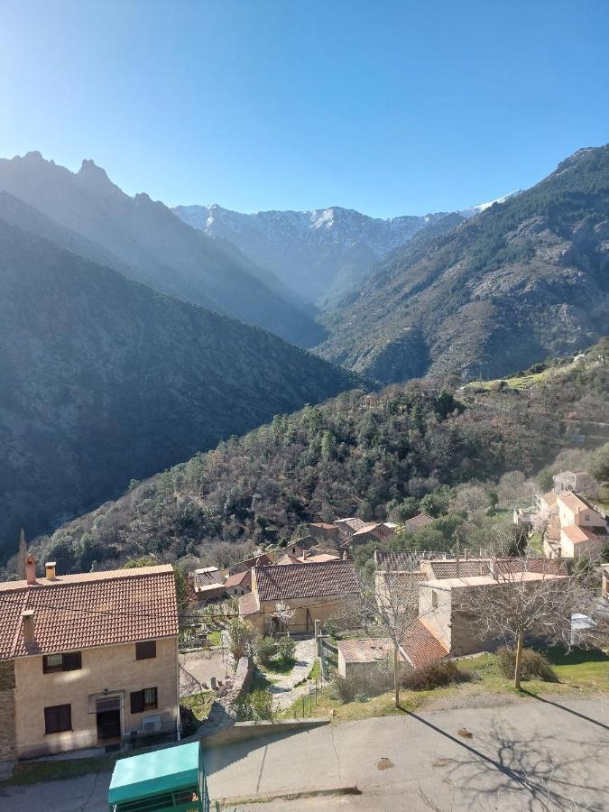 Residence E Cime Asco Locations De Studios Meubles Eksteriør billede