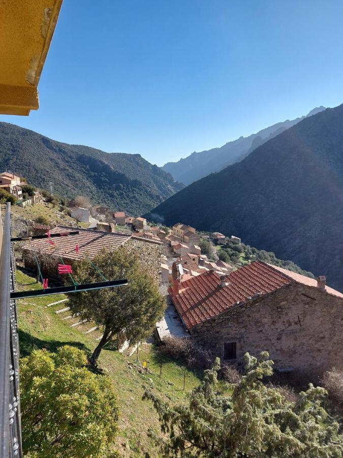 Residence E Cime Asco Locations De Studios Meubles Eksteriør billede