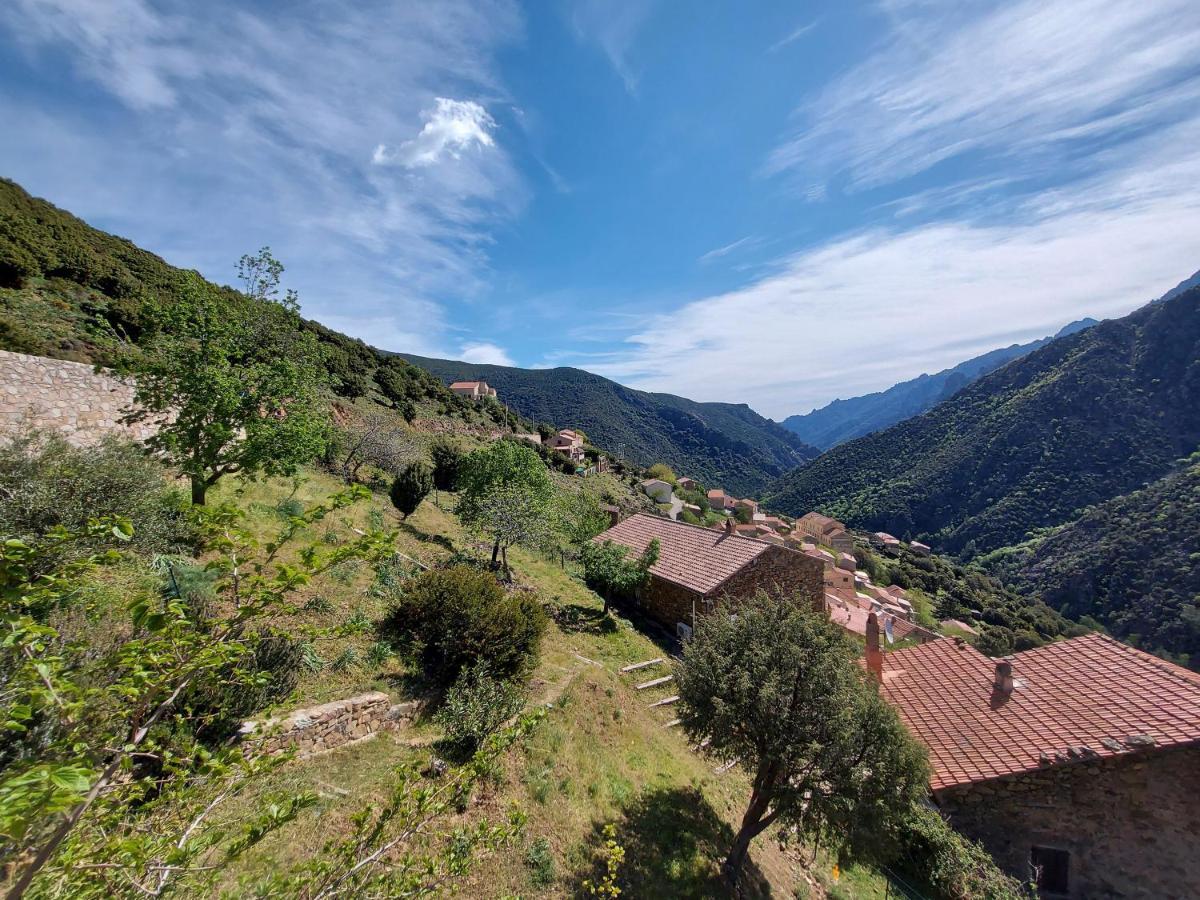 Residence E Cime Asco Locations De Studios Meubles Eksteriør billede