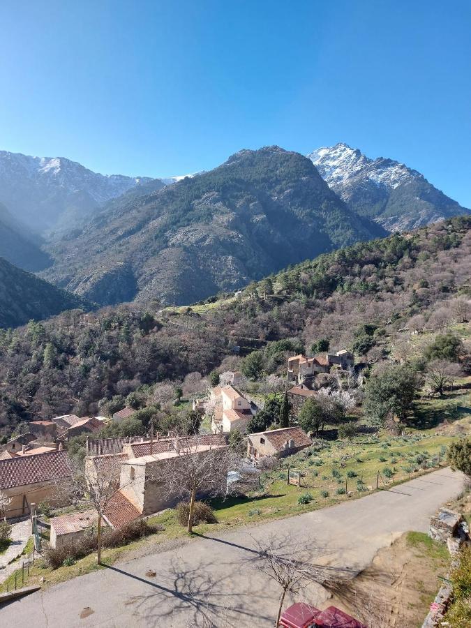 Residence E Cime Asco Locations De Studios Meubles Eksteriør billede