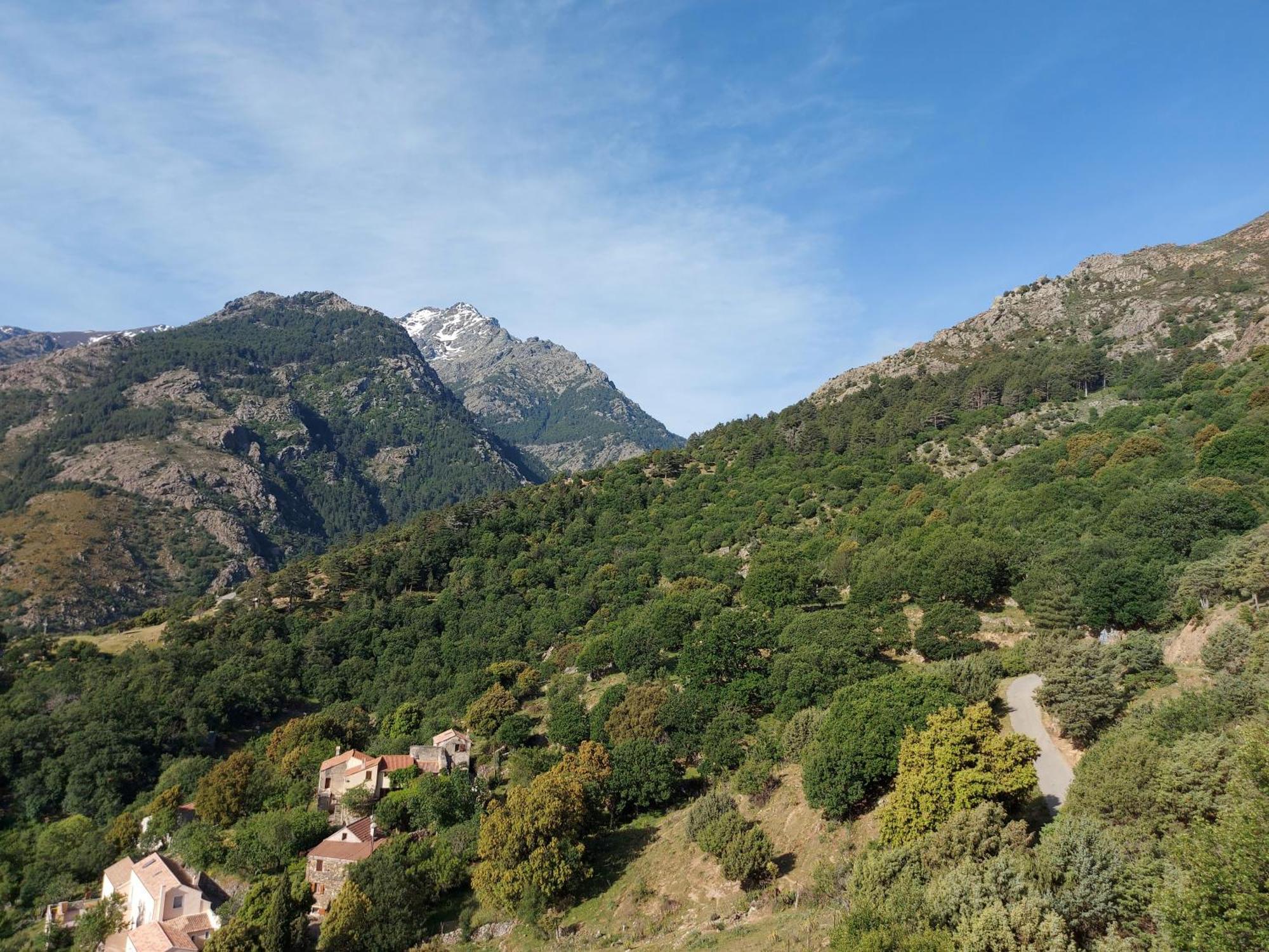 Residence E Cime Asco Locations De Studios Meubles Eksteriør billede